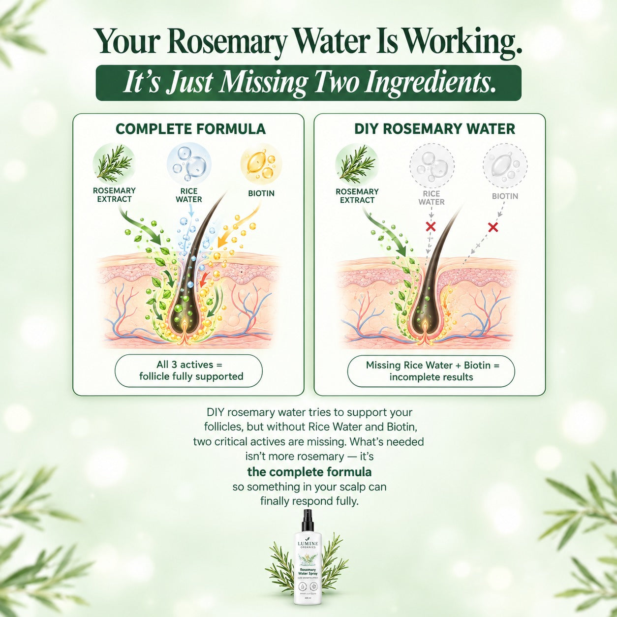 Rosemary Water Spray — Hair Growth & Thickness Support