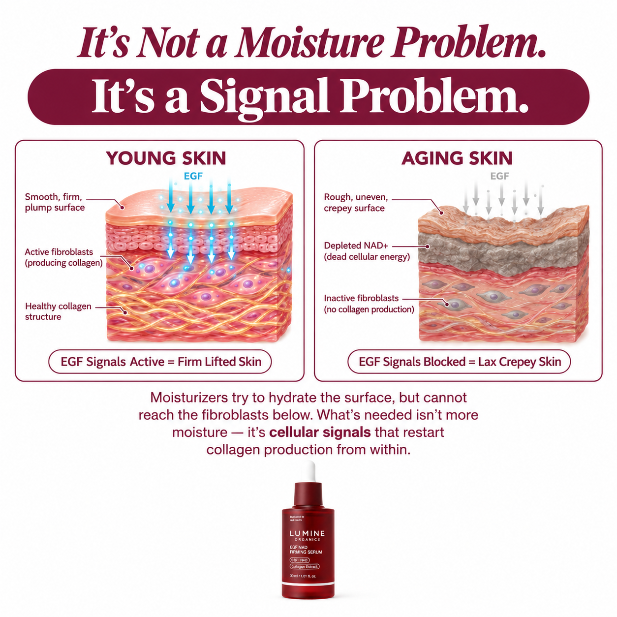 NAD+ EGF Advanced — Cellular Recharge & Firming Serum
