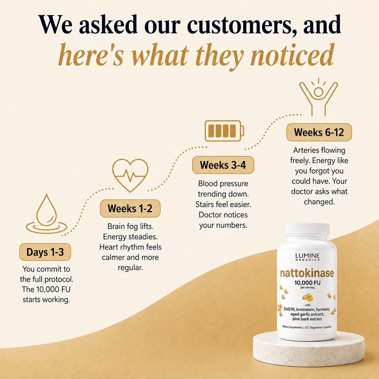 Nattokinase 10,000 FU — Advanced Circulation & Heart Health
