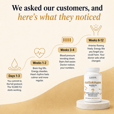 Nattokinase 10,000 FU — Advanced Circulation & Heart Health