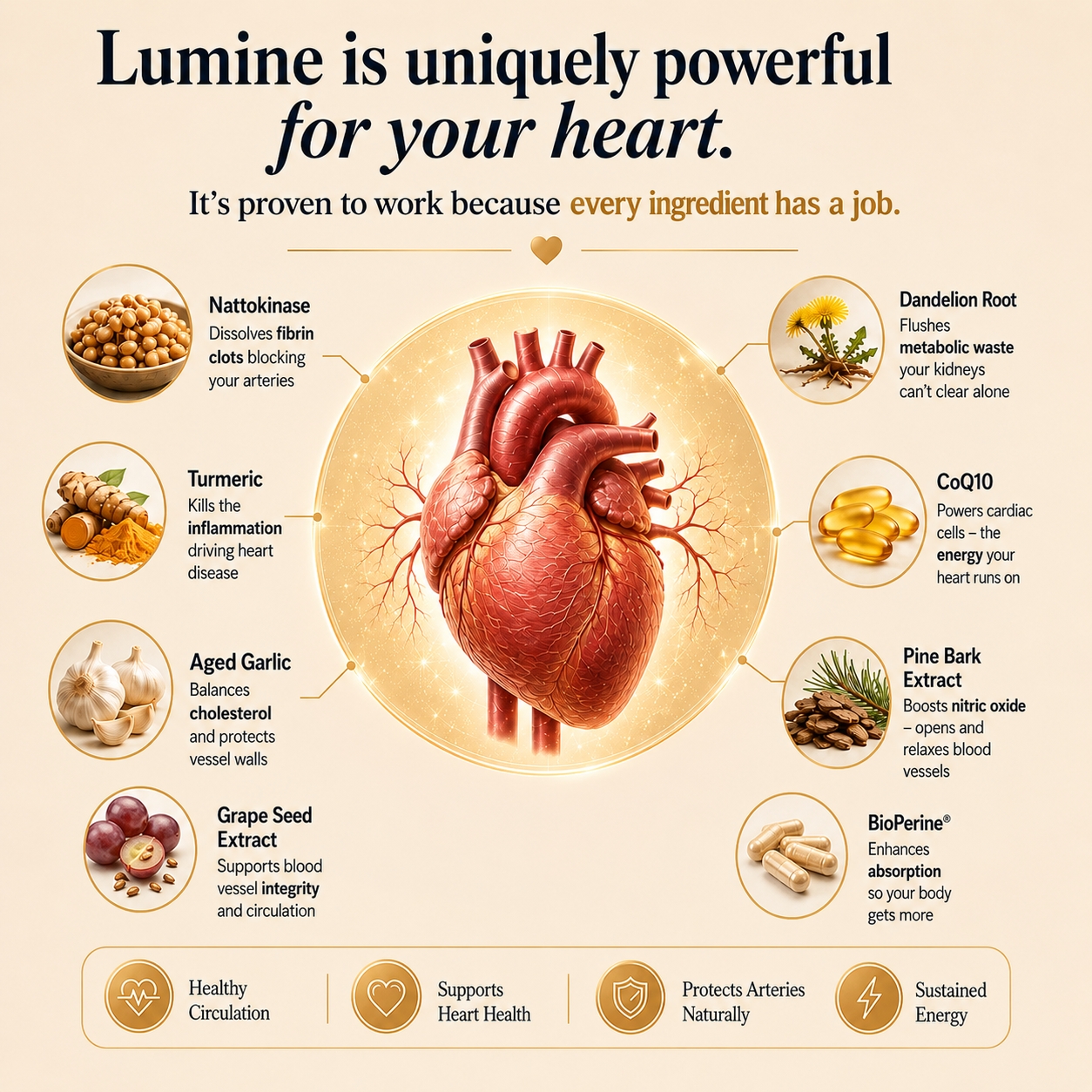 Nattokinase 10,000 FU — Advanced Circulation & Heart Health