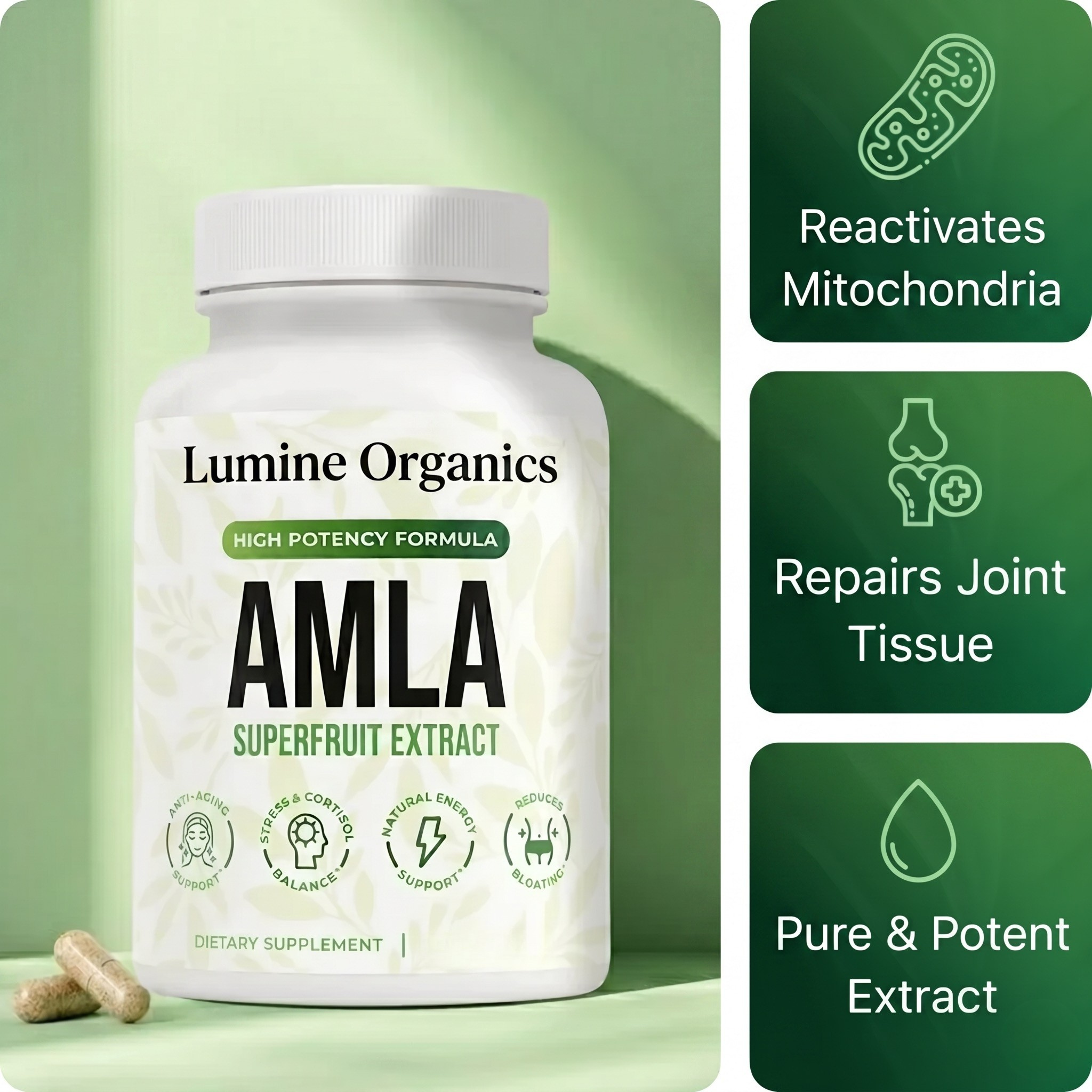 Amla Superfruit Extract Capsules