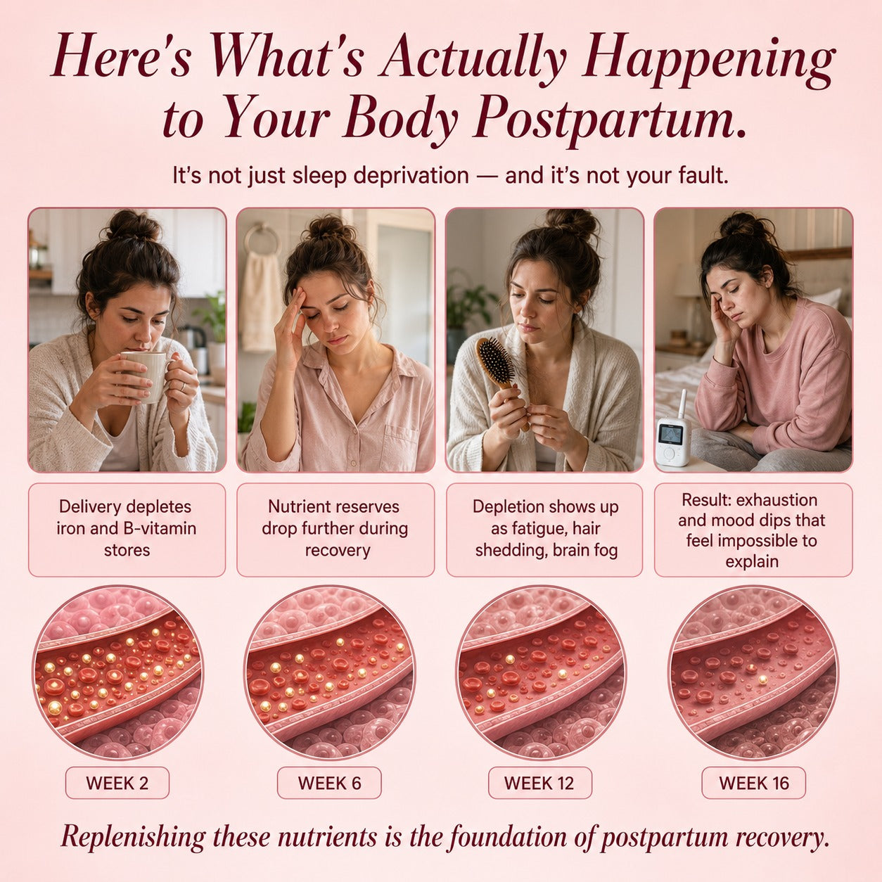 Total Postnatal + DHA — Postpartum Support