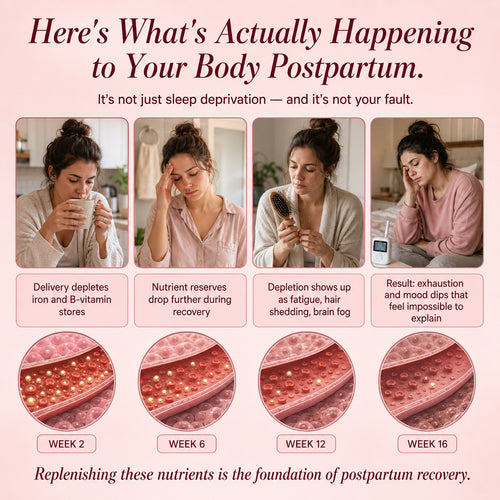 Total Postnatal + DHA — Postpartum Support