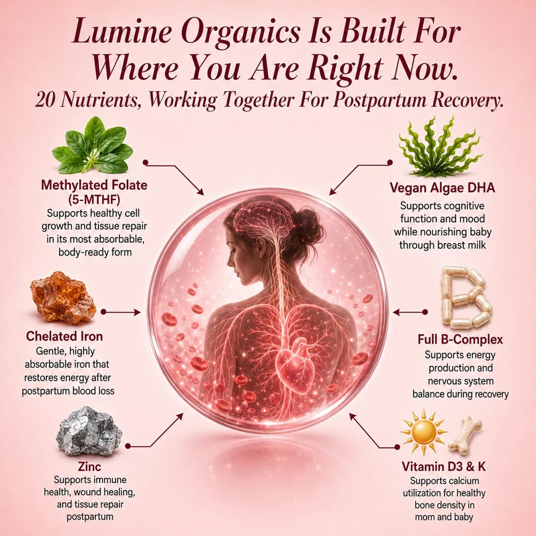 Total Postnatal + DHA — Postpartum Support