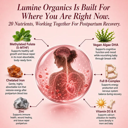 Total Postnatal + DHA — Postpartum Support