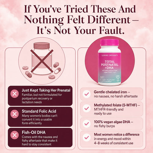 Total Postnatal + DHA — Postpartum Support
