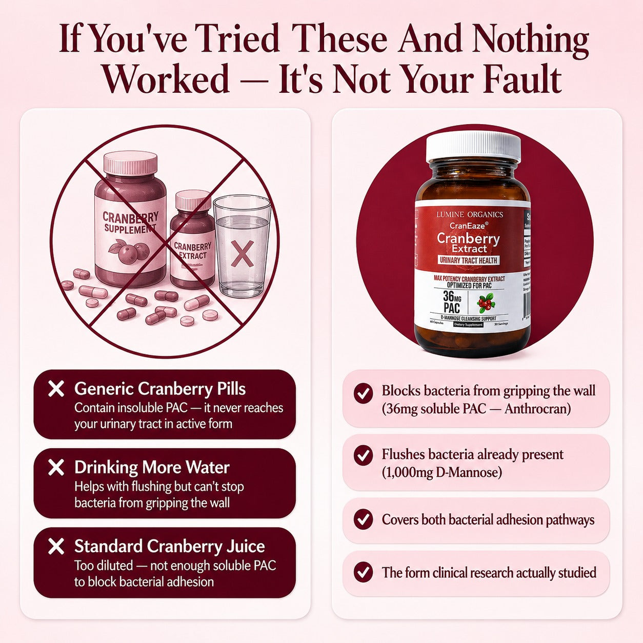 Cranberry + D-Mannose — Urinary Tract Support