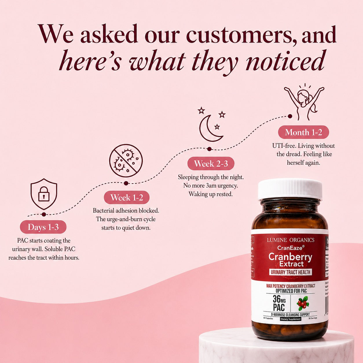 Cranberry + D-Mannose — Urinary Tract Support