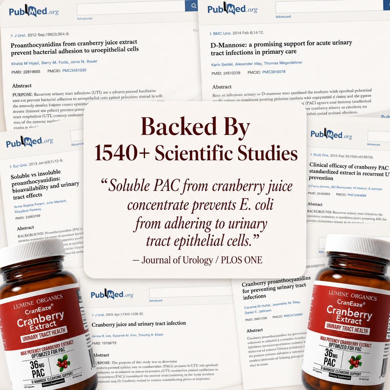 Cranberry + D-Mannose — Urinary Tract Support