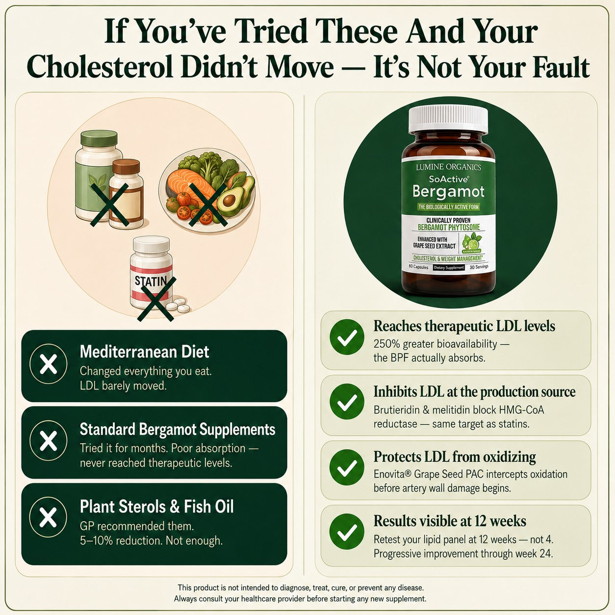Bergamot Phytosome — Natural Cholesterol Support