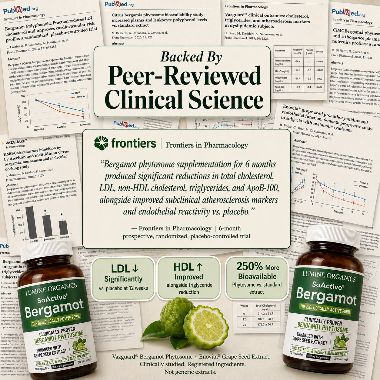 Bergamot Phytosome — Natural Cholesterol Support