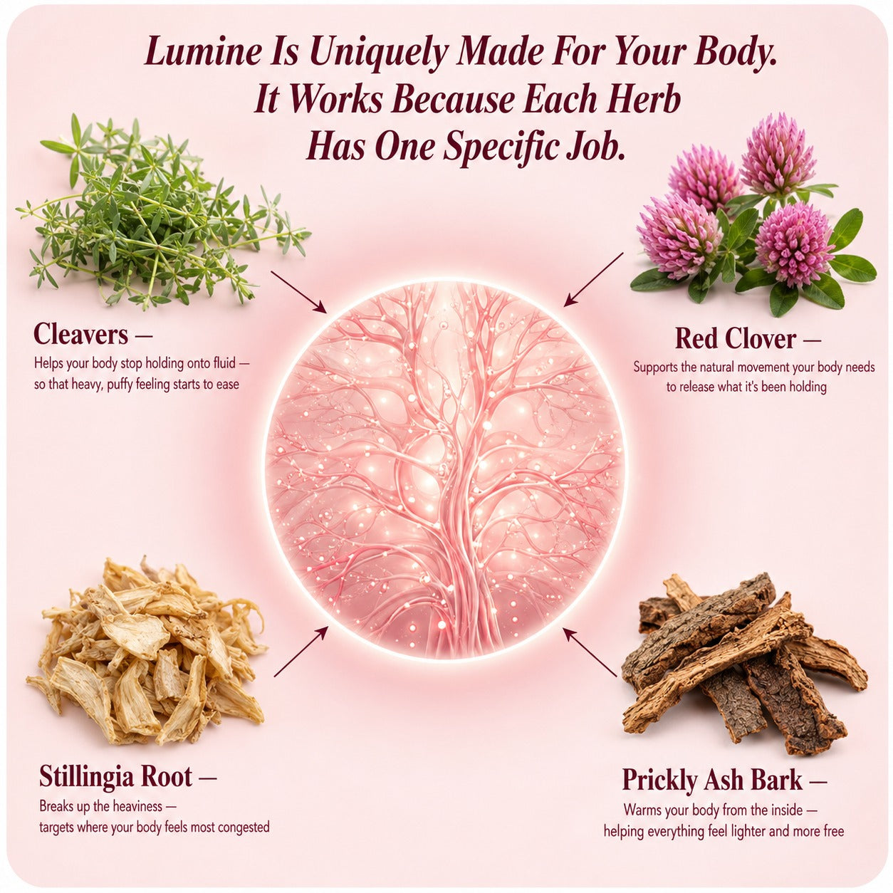 Lymphatic Drainage Drops — Daily Detox & De-Bloat Support