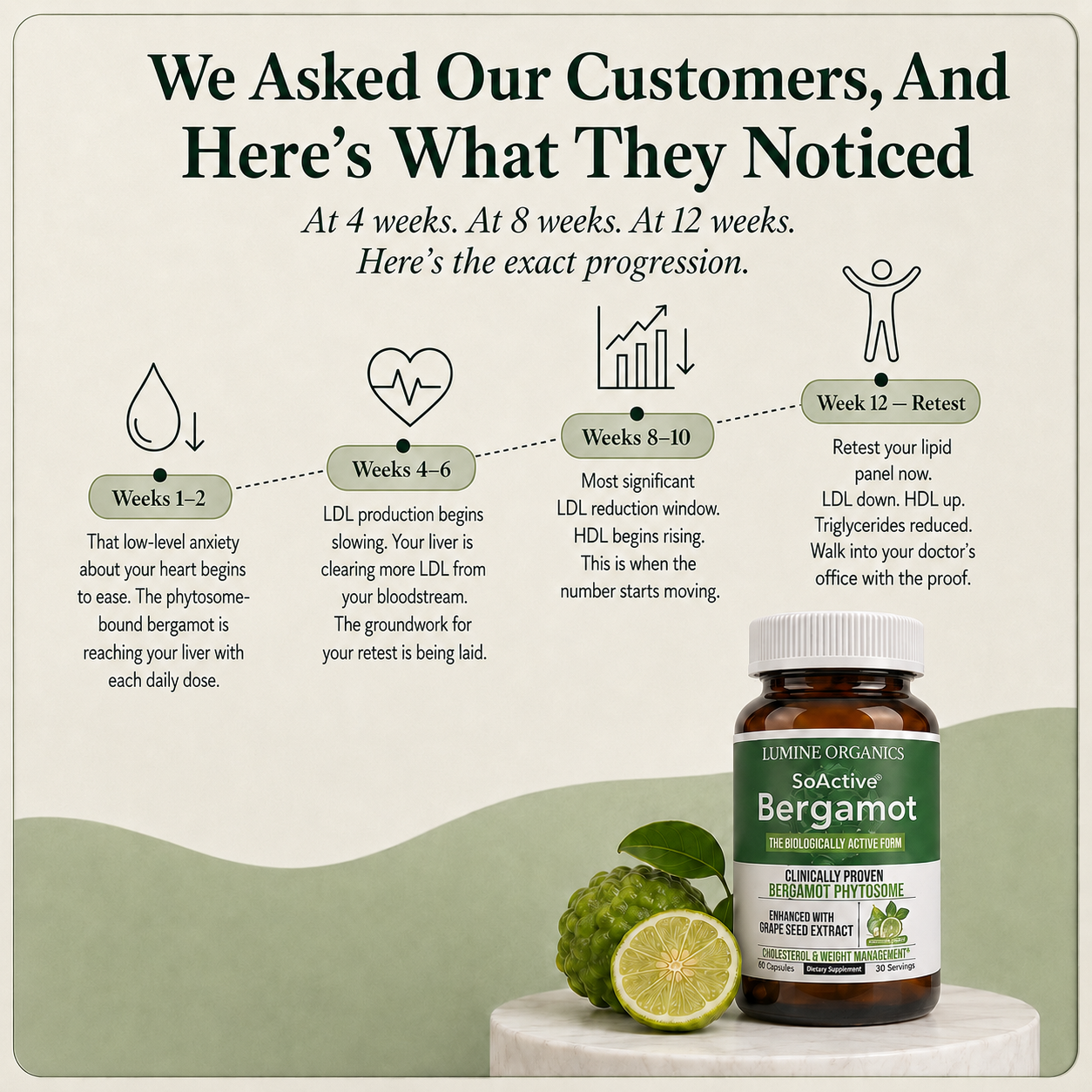 Bergamot Phytosome — Natural Cholesterol Support