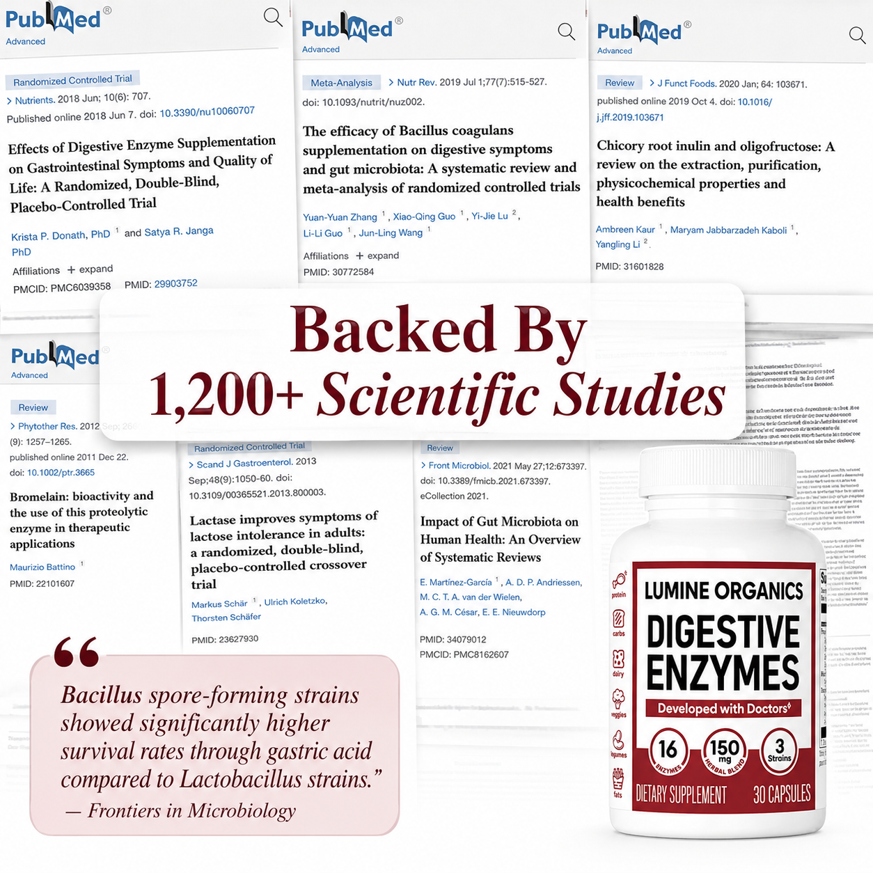 Digestive Enzymes 3-in-1 — Bloating & Digestion Support