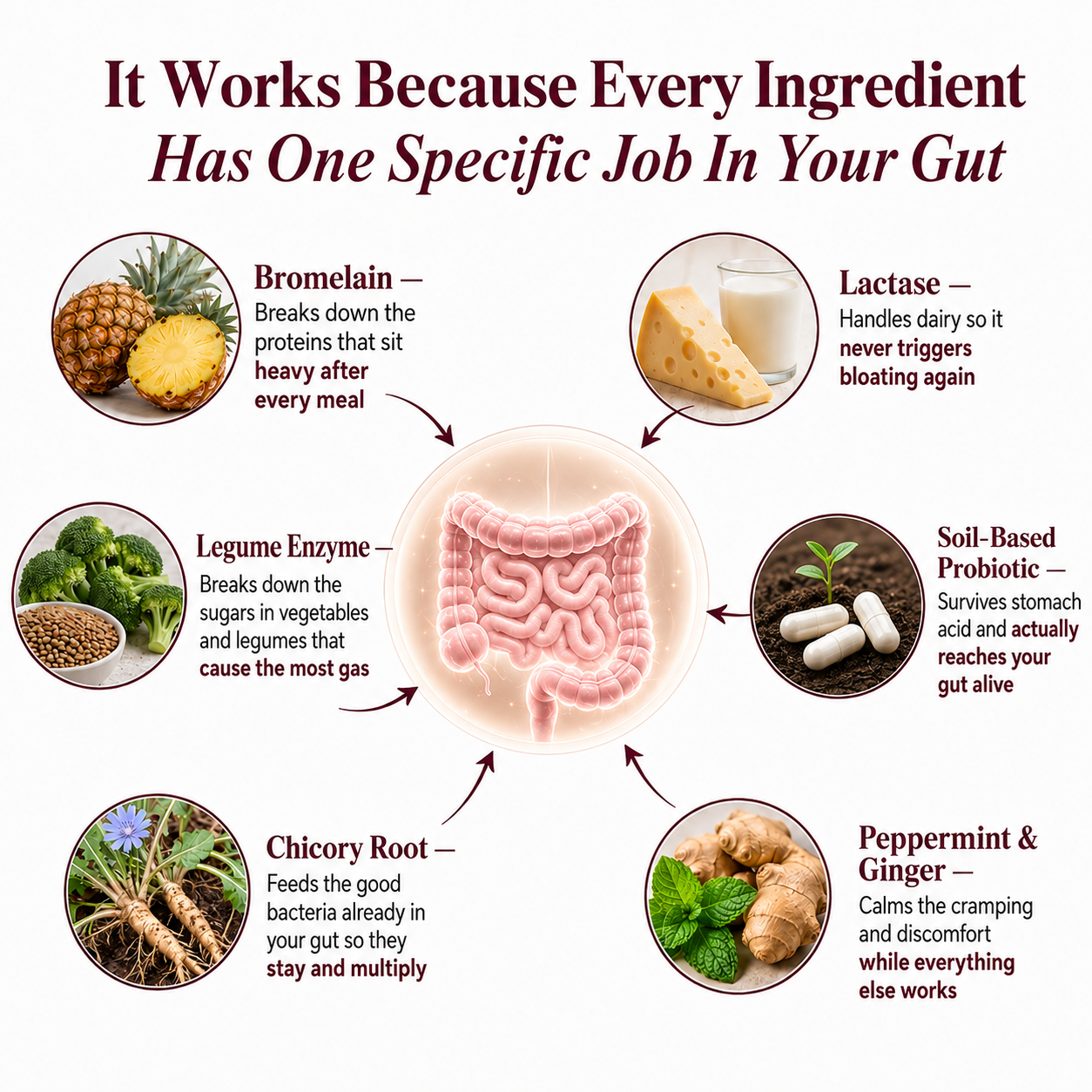 Digestive Enzymes 3-in-1 — Bloating & Digestion Support