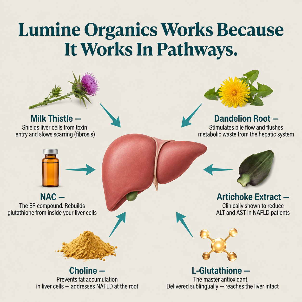 Liver Restore Drops — Fatty Liver & Enzyme Support