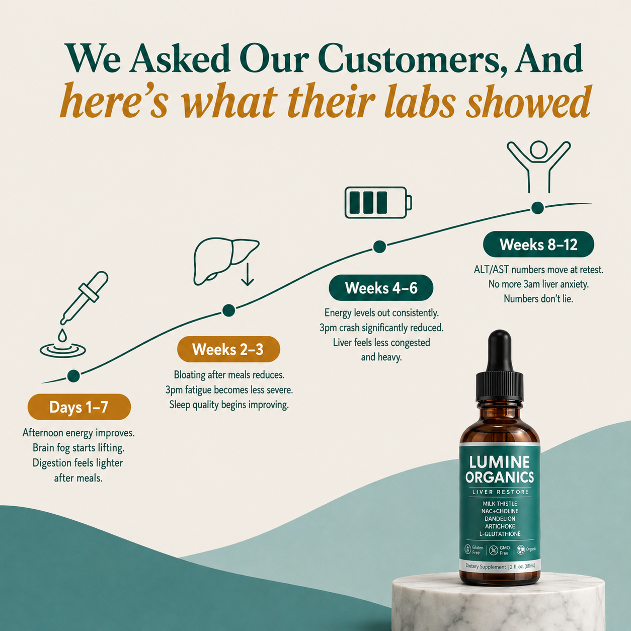 Liver Restore Drops — Fatty Liver & Enzyme Support